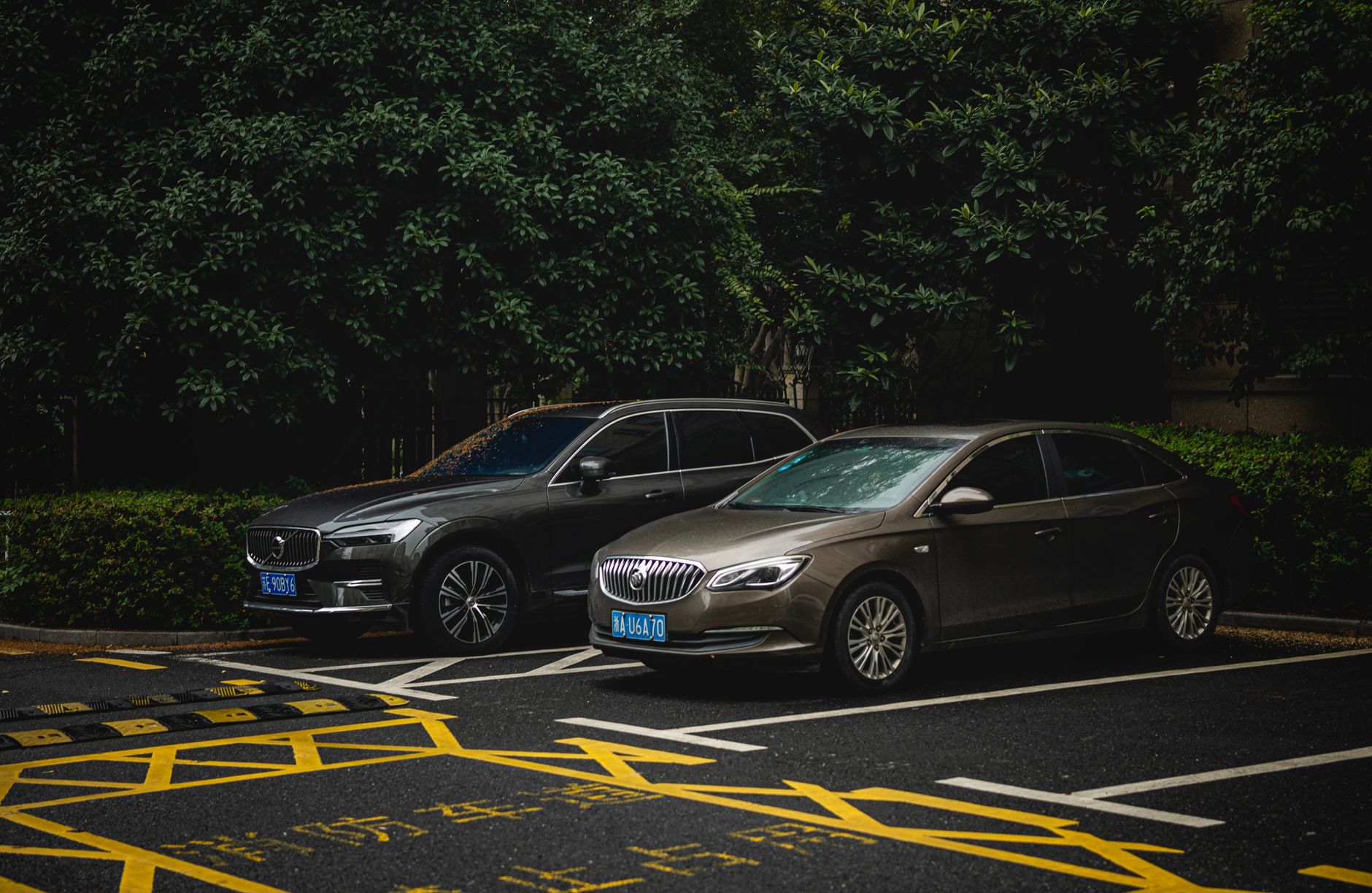 Crossover i sedan zaparkowane obok siebie na zacienionym miejskim parkingu
